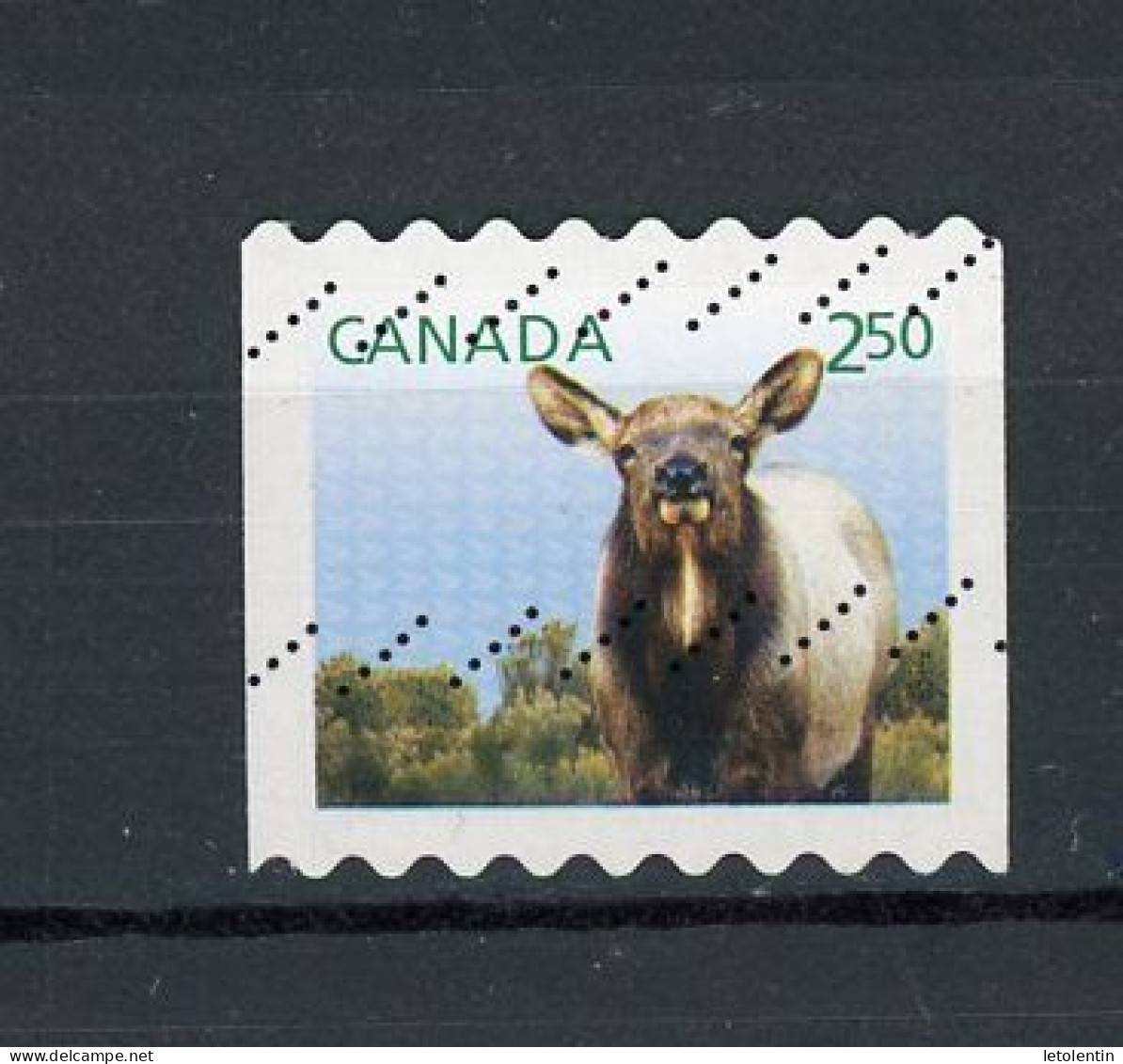 CANADA - FAUNE - N° Yvert 2969 Obli. - Gebruikt