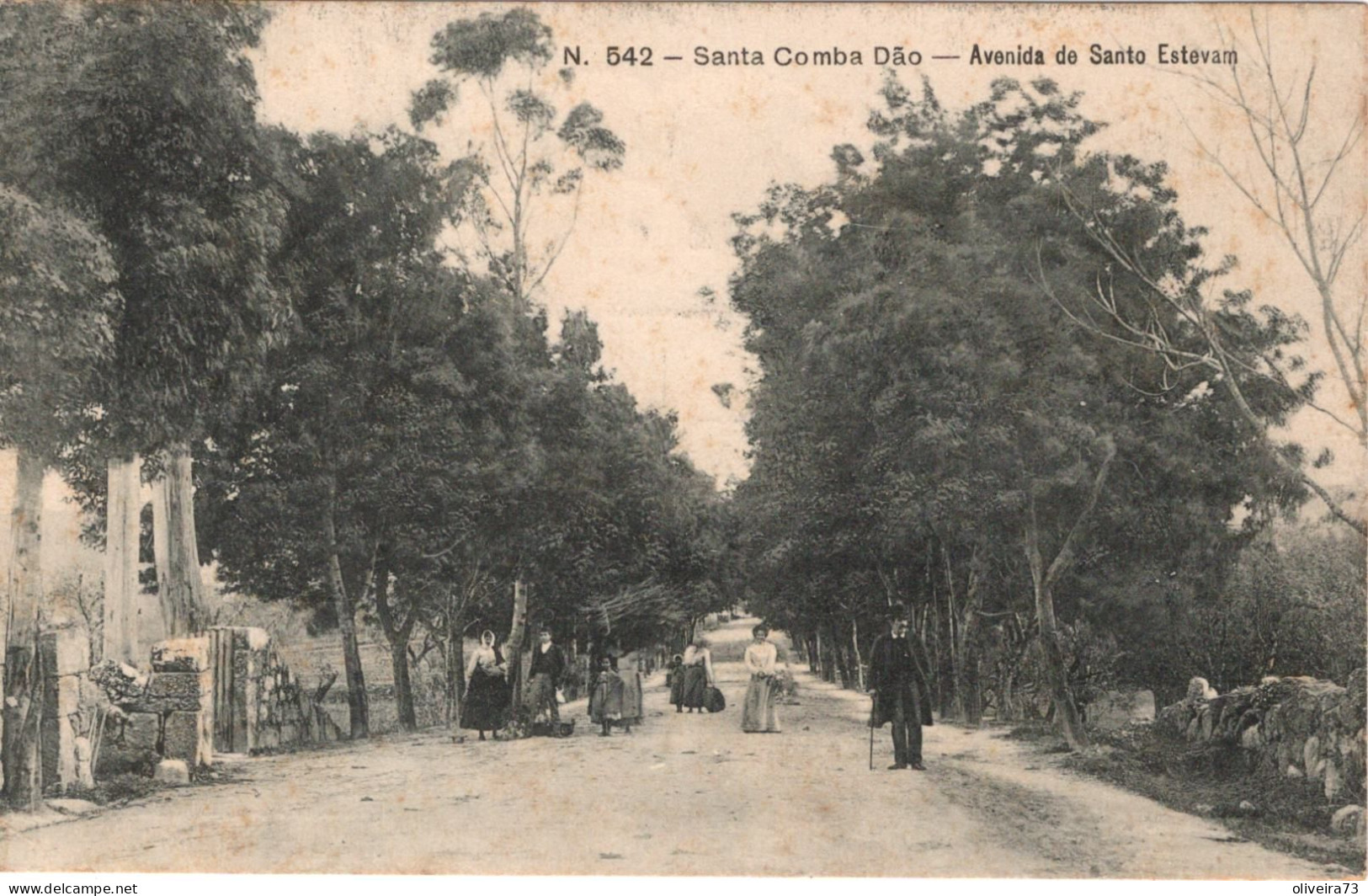 SANTA COMBA DÃO - Avenida De Santo Estevam - PORTUGAL - Viseu