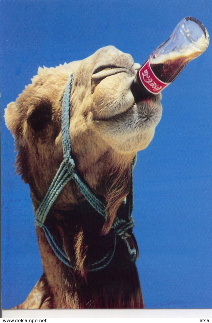 Postcard ( A Camel Drinking Coca-cola) // Carte Postale ( Un  Chameau Buvant Du Coca-cola ) - Cartoline