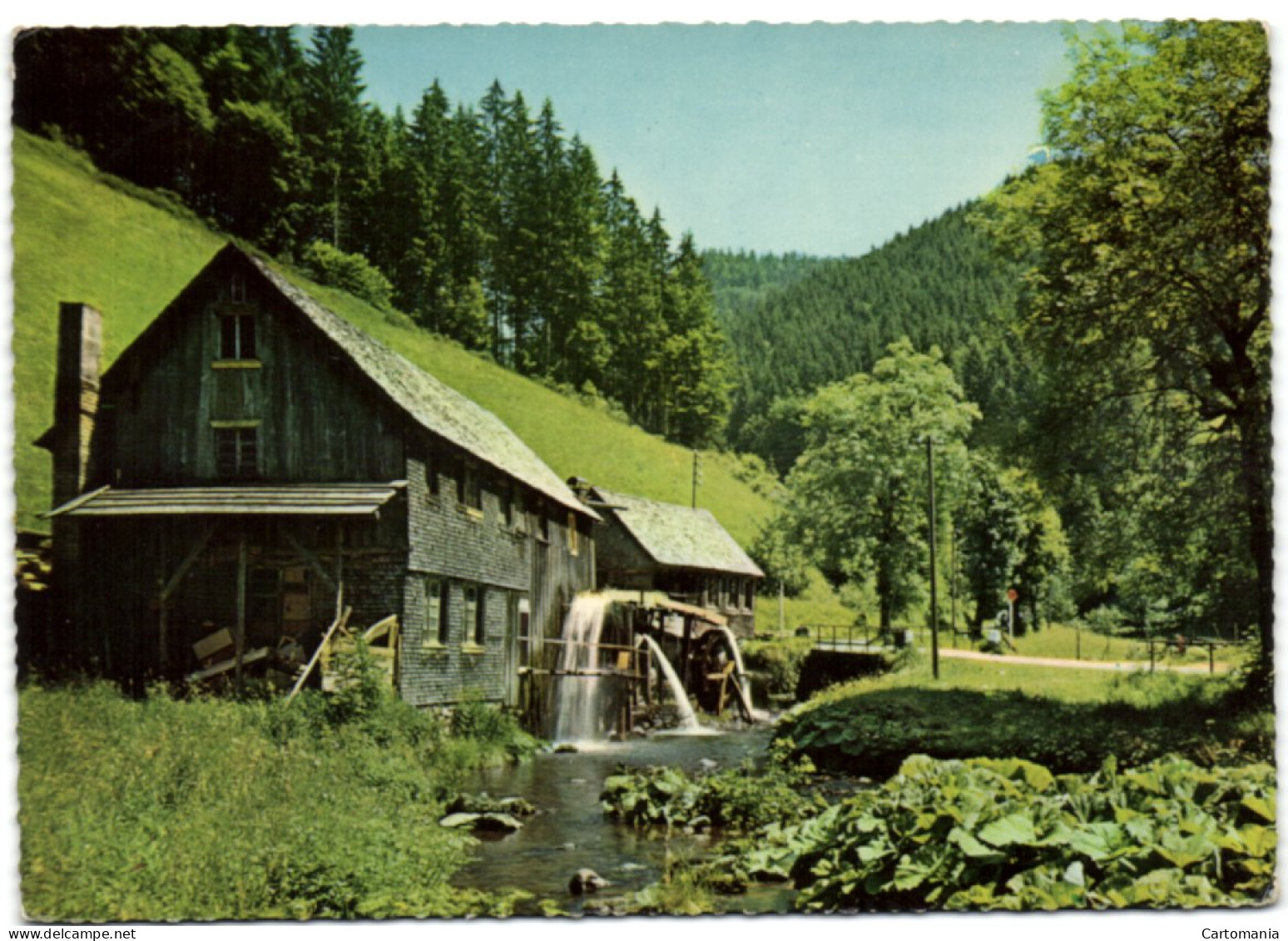 Hexentoch Bei Neukirch - Schwarzwald - Furtwangen