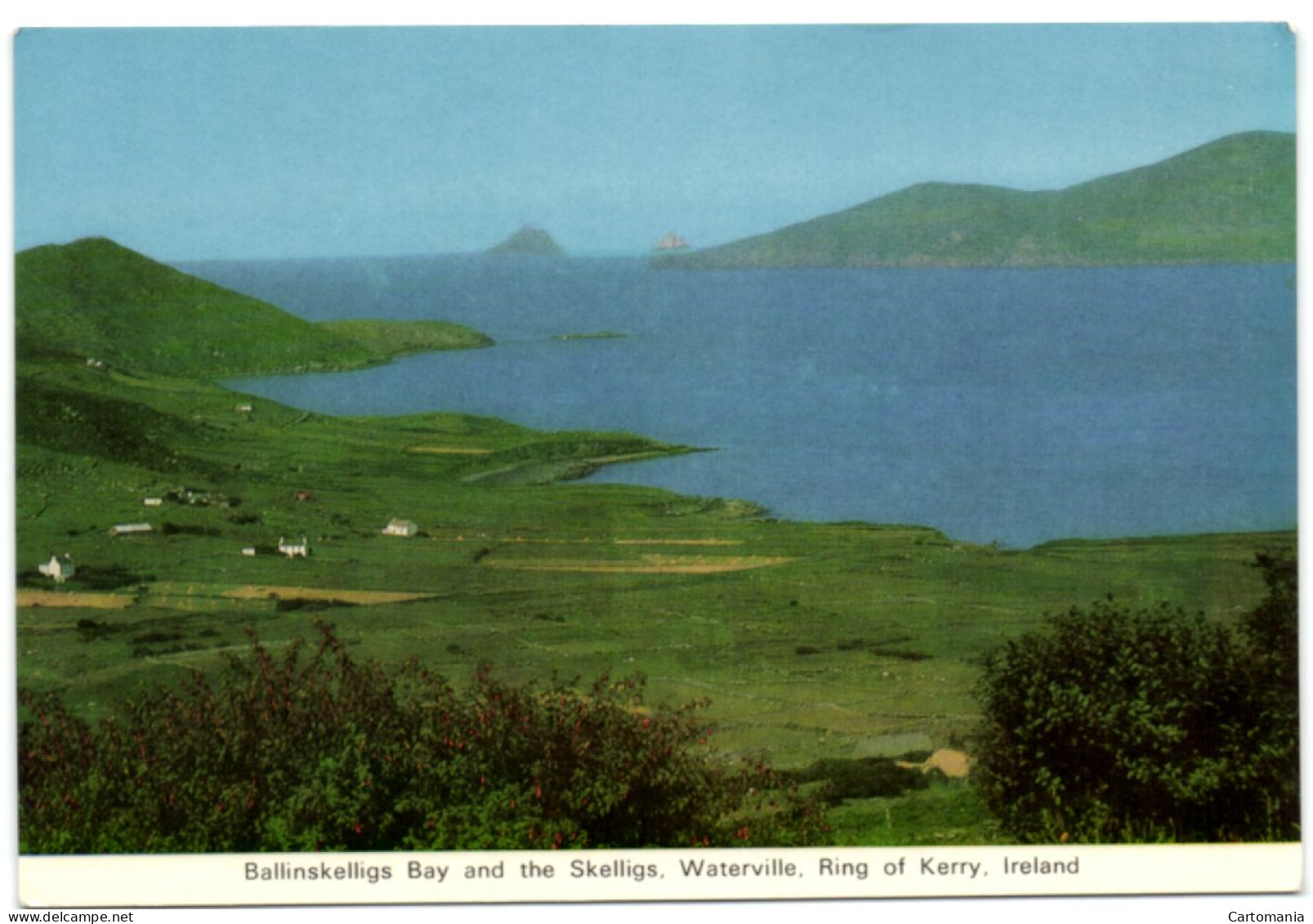 Ballinskelligs Bay And The Skelligs Waterville Ring Of Kerry - Ireland - Kerry