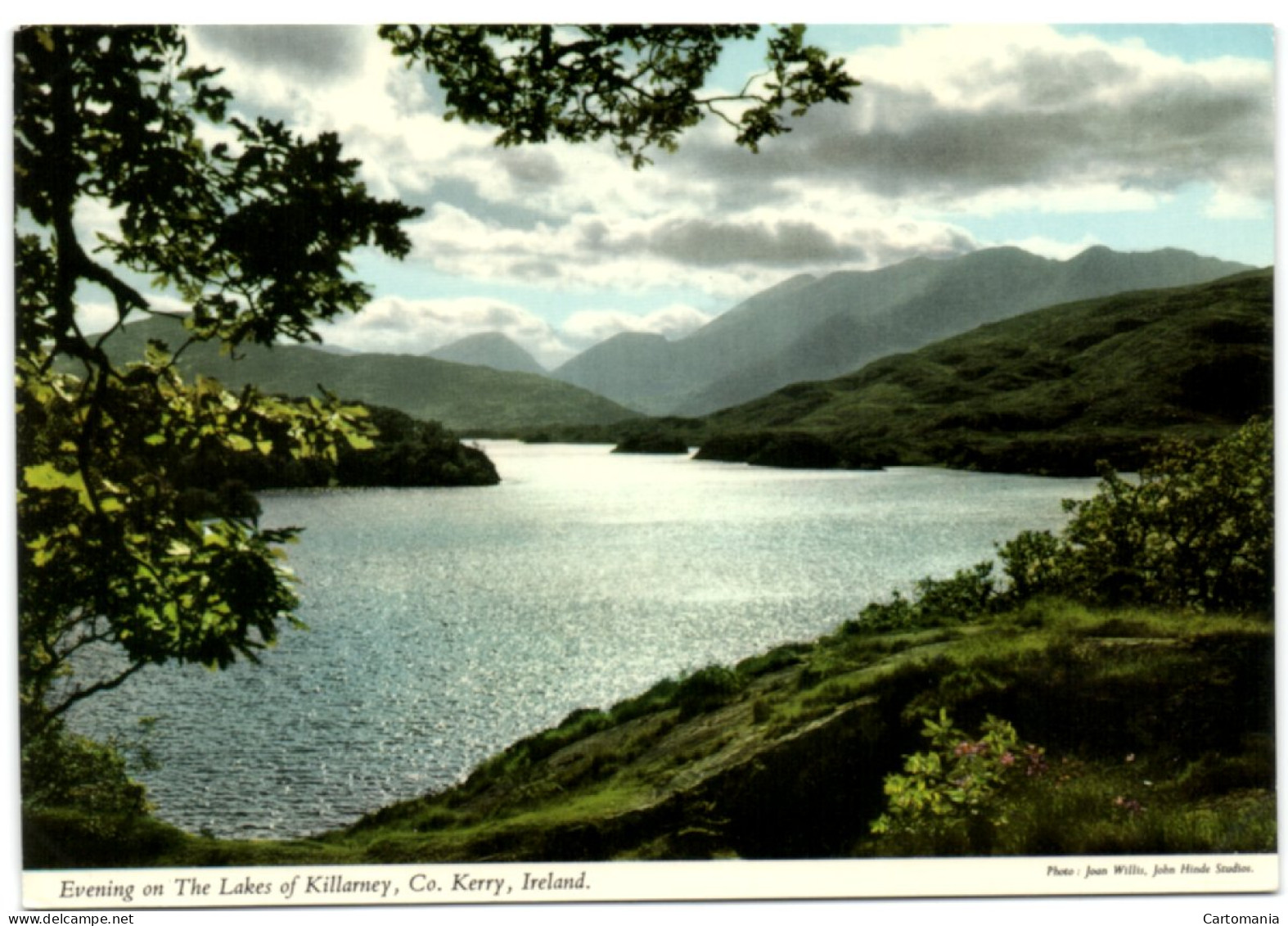 Evening On The Lakes Of Killarney - Co. Kerry - Ireland - Kerry