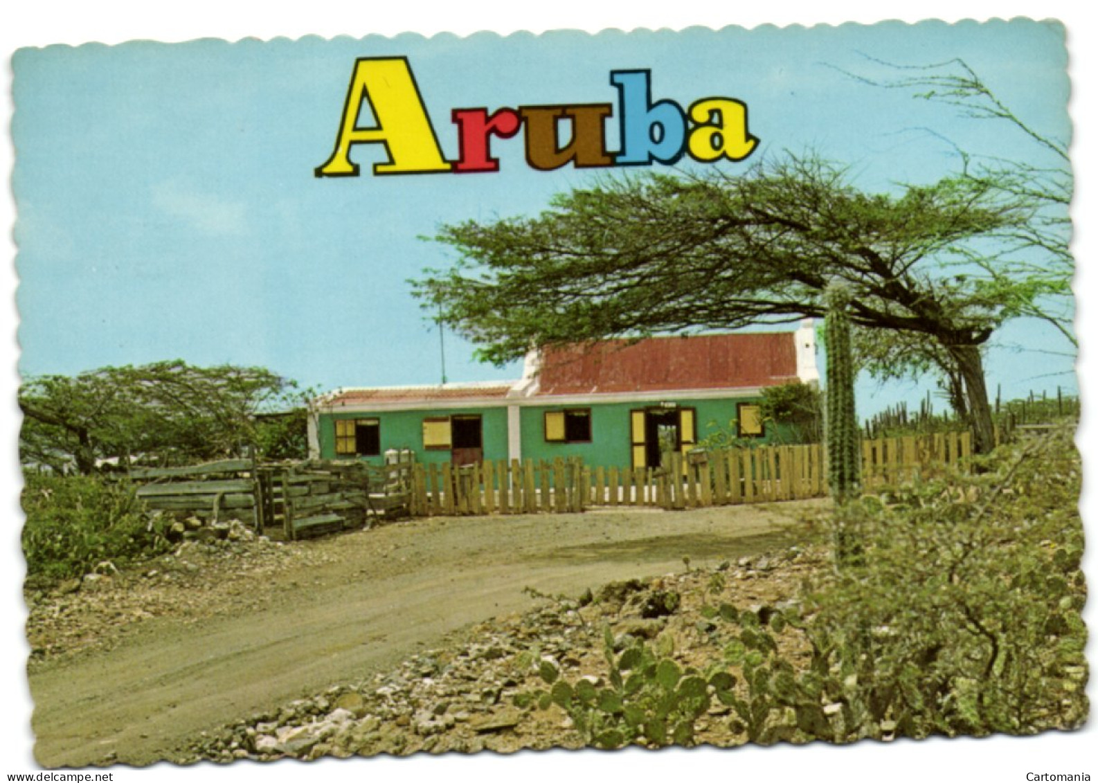 Aruba - Typical Aruban Country Viaw With Cunucuhouse And Divi Divi Tree - Aruba