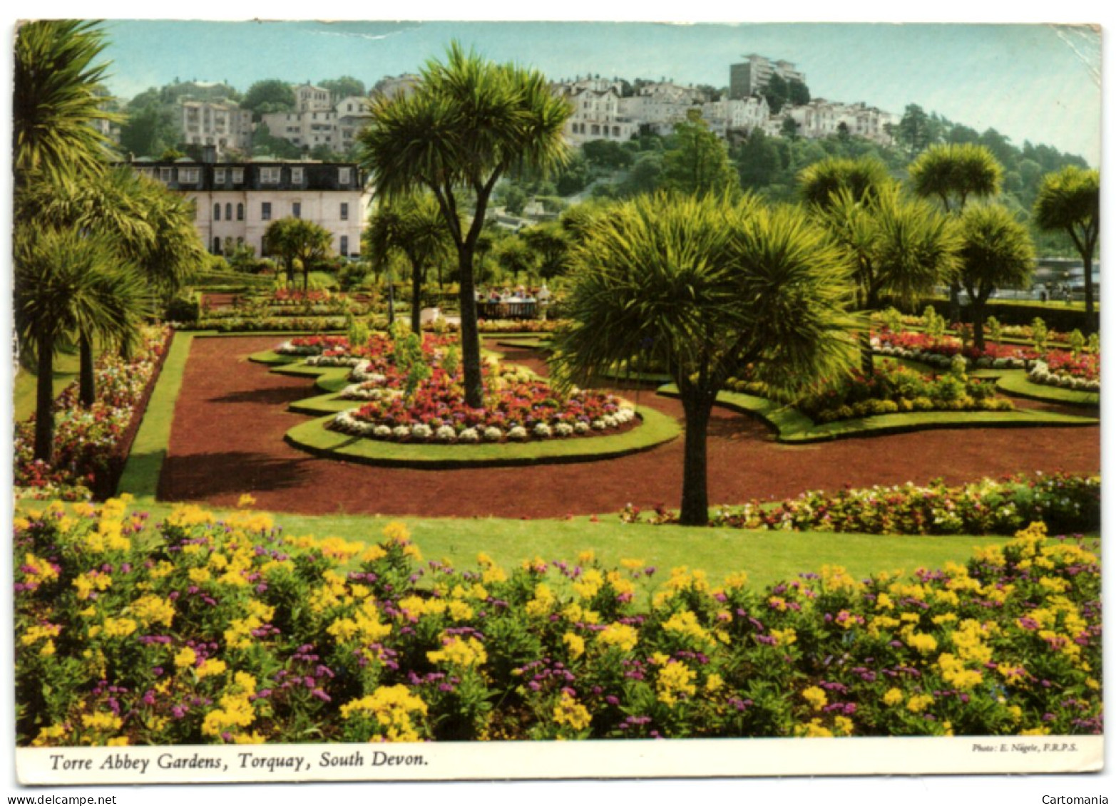 Torre Abbey Gardens - Torquay - South Devon - Torquay