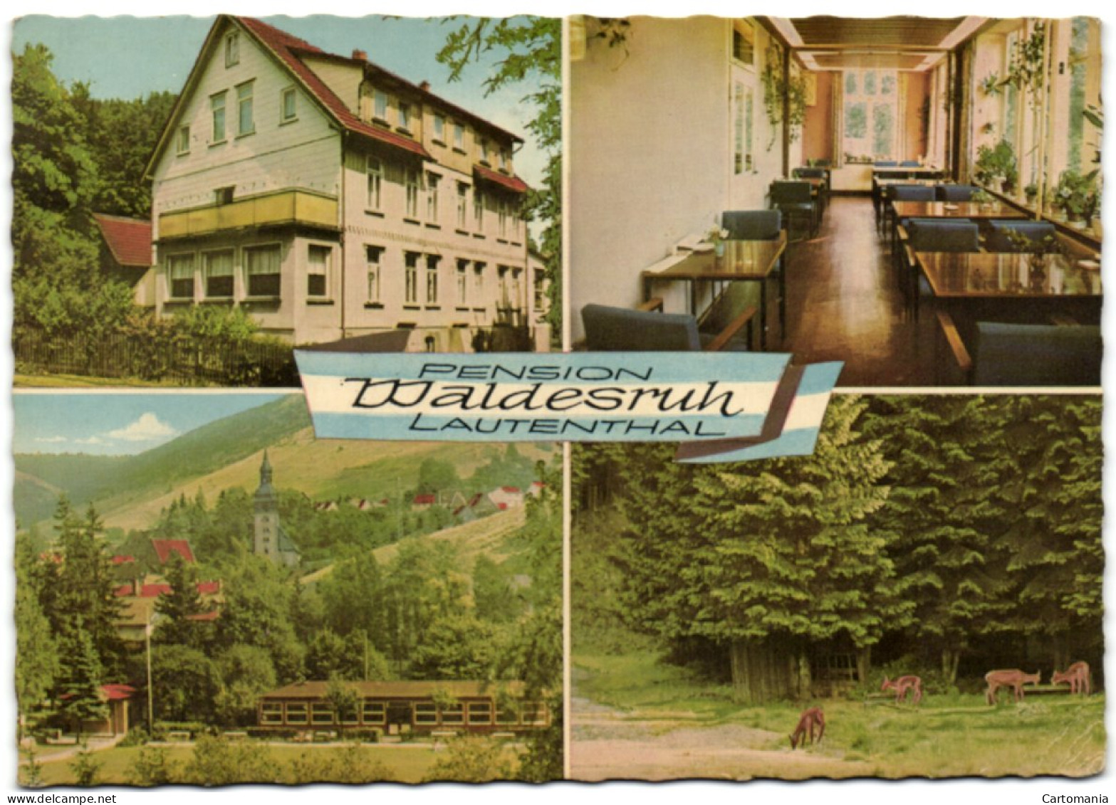 Lauthenthal/Oberharz - Pension Waldesruh - Oberharz