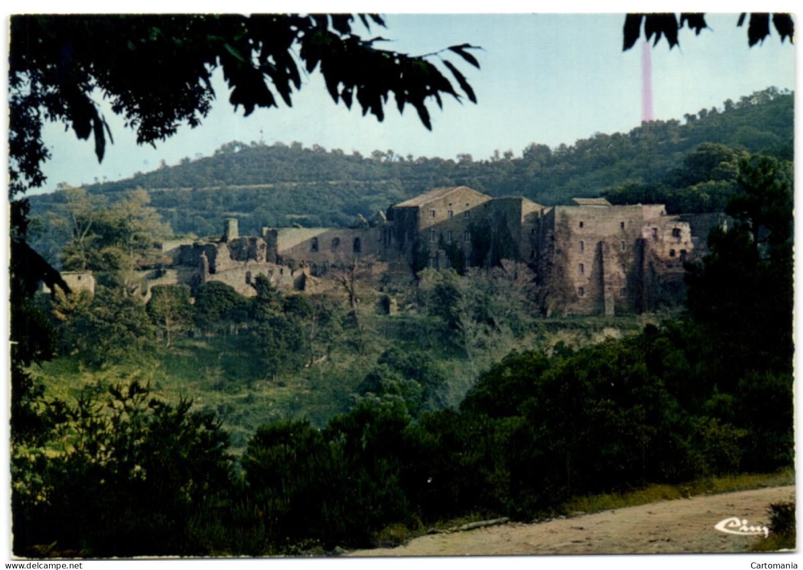 Collobrières (Var) - Chartreuse De La Verne - Vue Générale - Collobrieres