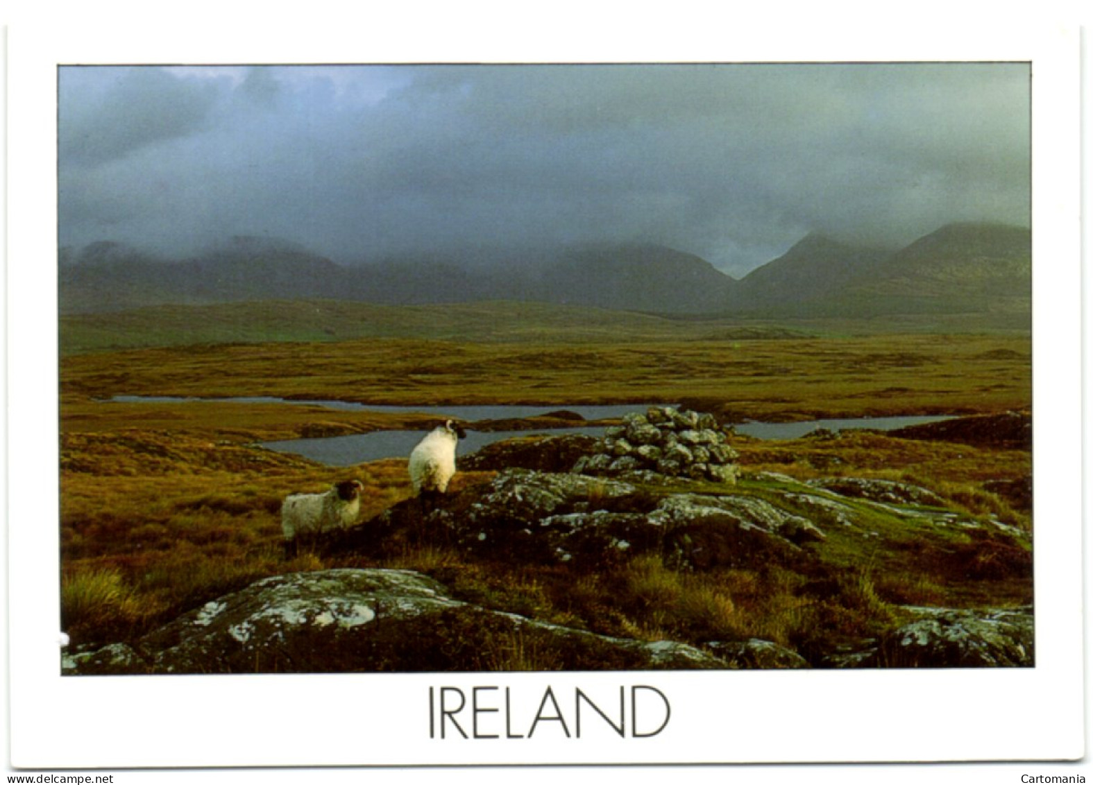 Ireland - The Rugged Landscape On The West Coast Of Ireland - Autres & Non Classés