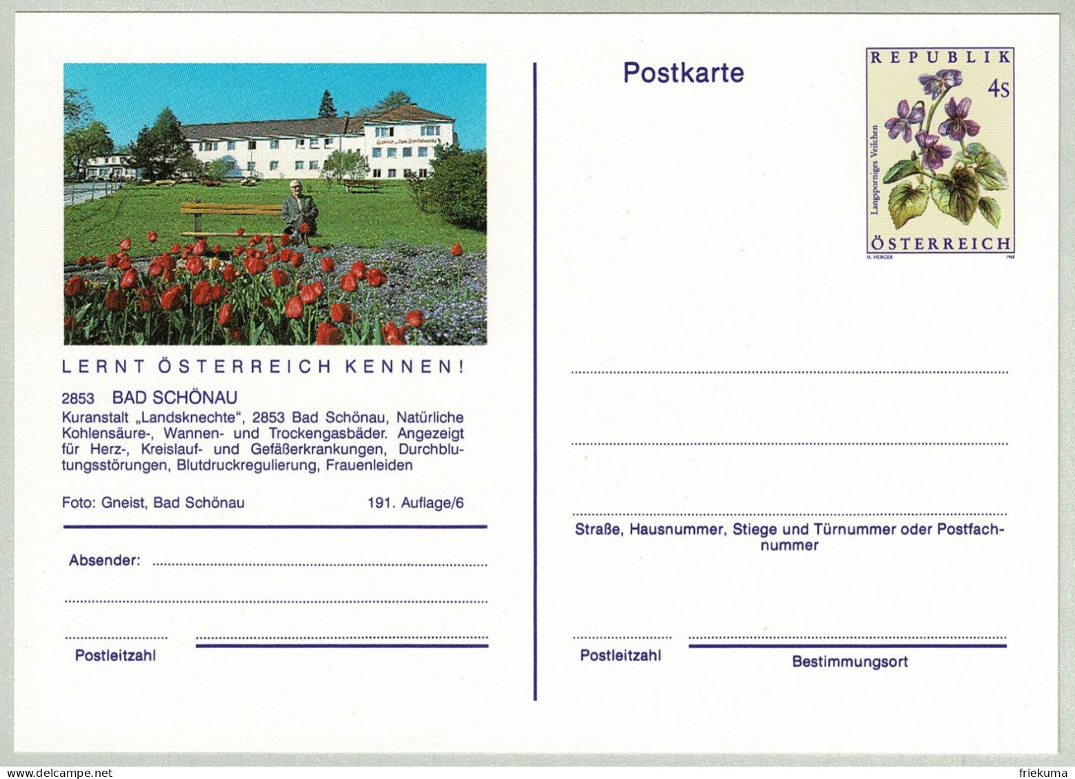 Oesterreich / Austria 1988, Bildpostkarte Bad Schönau, Kuranstalt, Kohlensäure, Herz, Kreislauf, Gefäss, Blut, Frauen - Termalismo