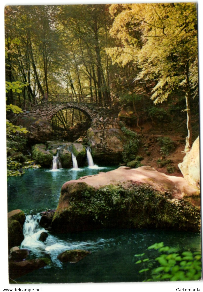 Petite Suisse Luxembourgeoise - Schiessentümpel In Mullerthal - Muellerthal