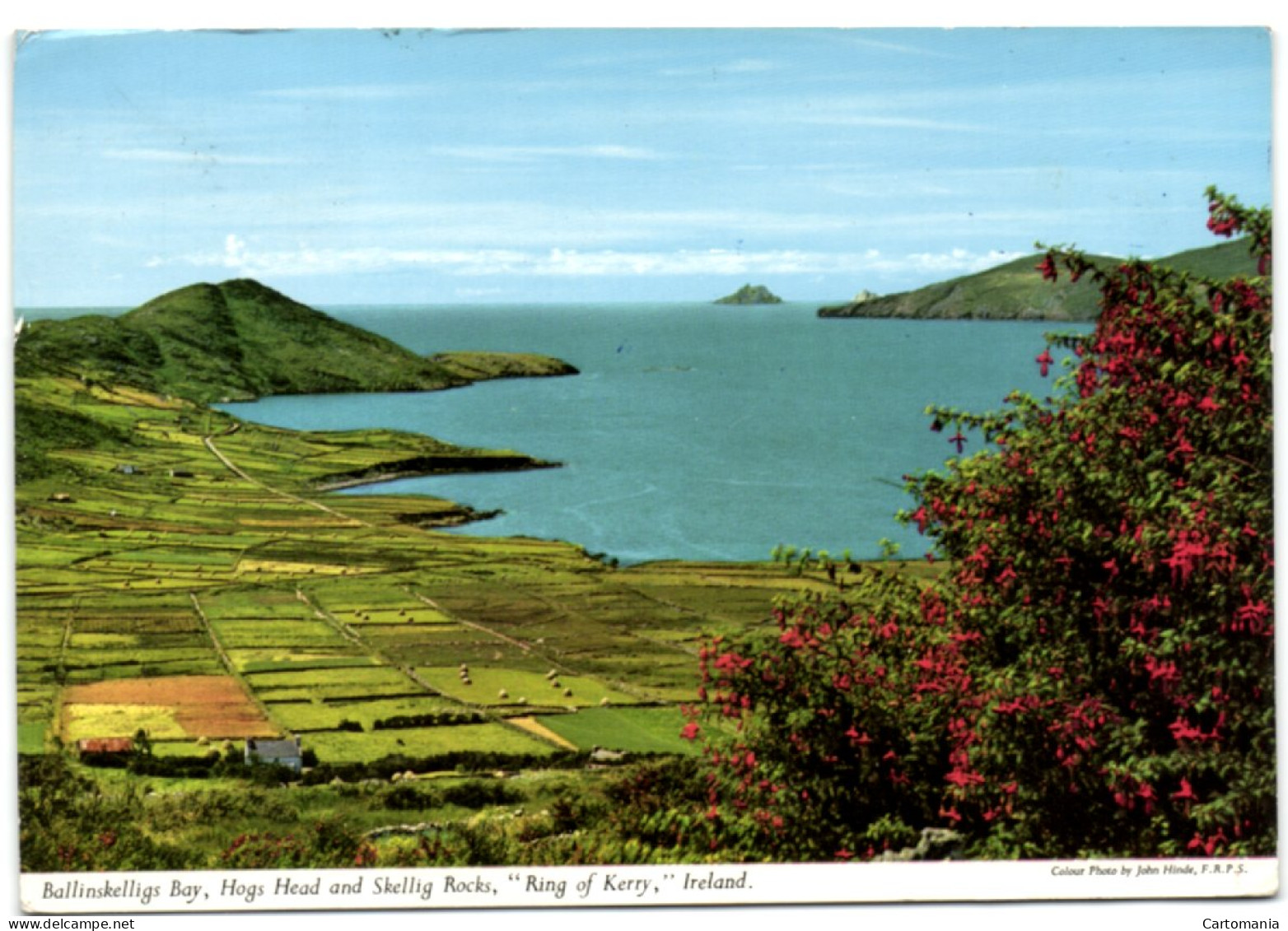 Ballinskellig Bay - Hog Head And Skellig Rocks Ring Of Kerry Ireland - Kerry
