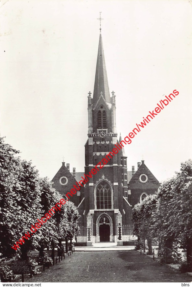 Kerk St. Cordula - Schoten - Schoten