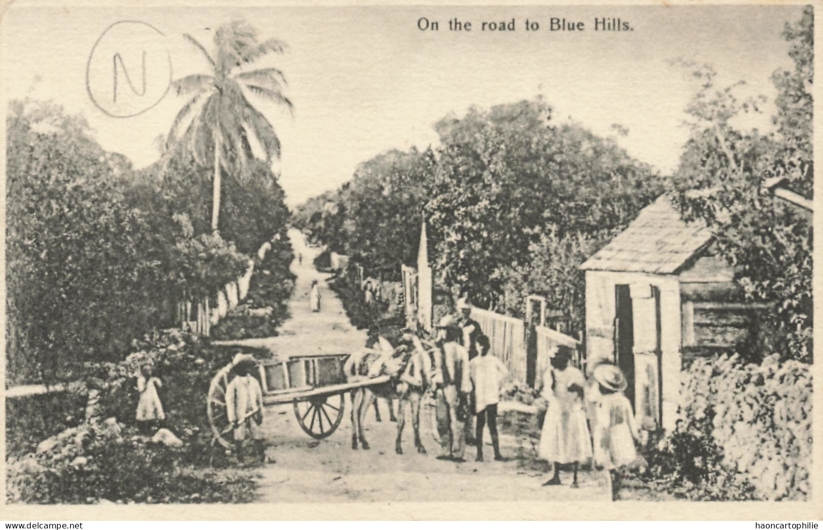 Bahamas ? On The Road Blue Hills - Bahamas