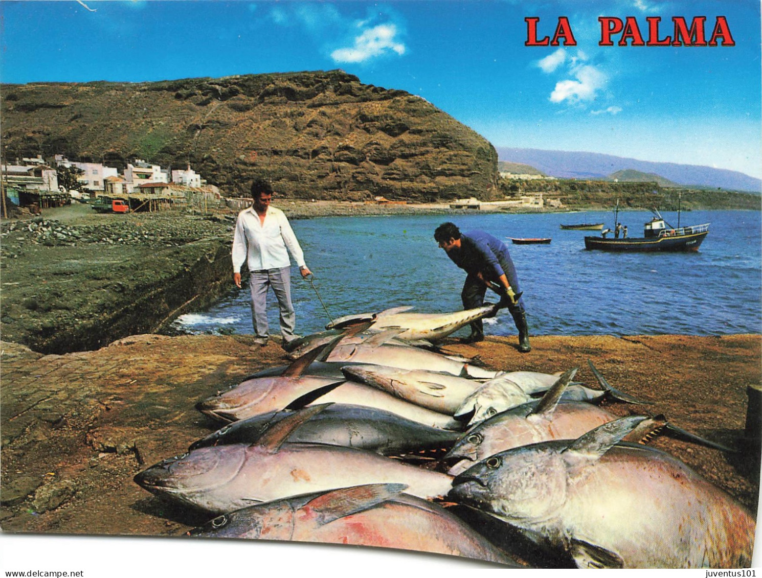 CPSM La Palma-Puerto De Tazacorte-Pesca De Tunidos-Beau Timbre    L2396 - La Palma