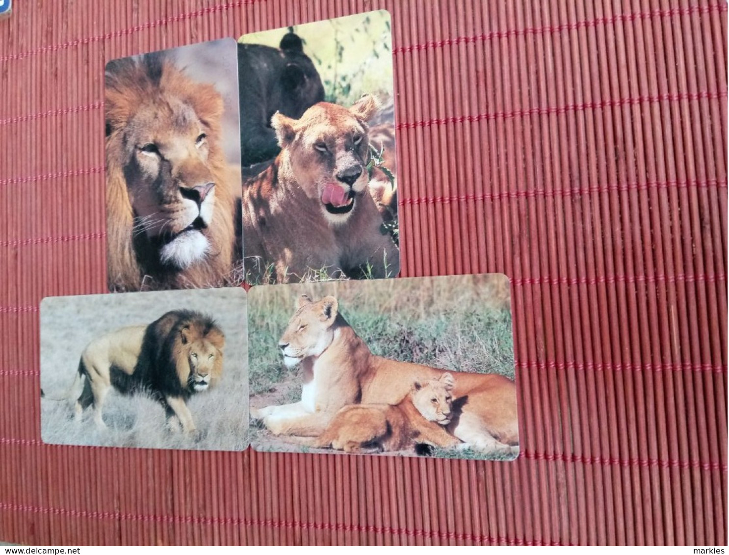 4 Phonecards Lion  Rare - Dschungel