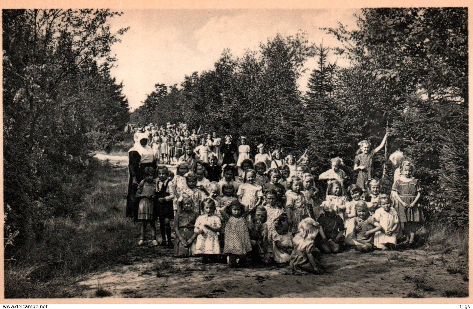 Ravels (O. L. Vrouw Van De Kempen) - Openluchtschool Voor Zwakke Meisjes, Een Dreef In Het Zes Hectaren Park - Ravels