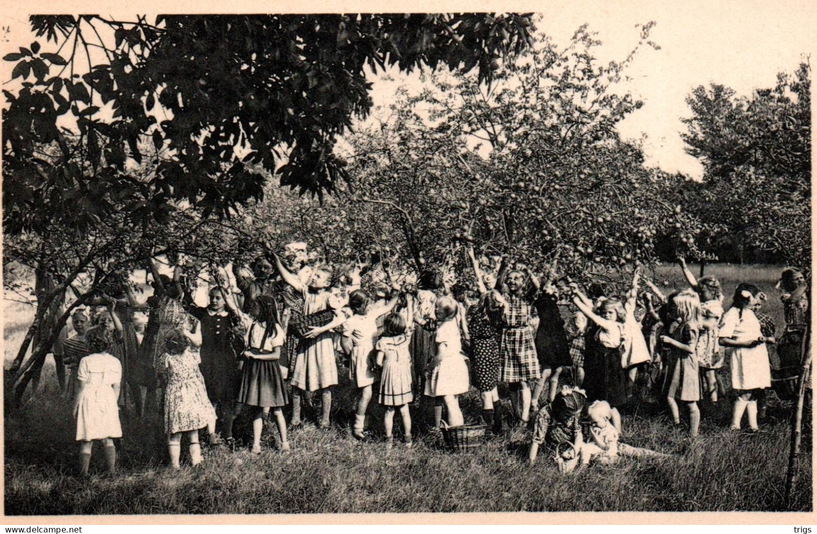 Ravels (O. L. Vrouw Van De Kempen) - Openluchtschool Voor Zwakke Meisjes, Aangename Verposing In De Fruithof - Ravels