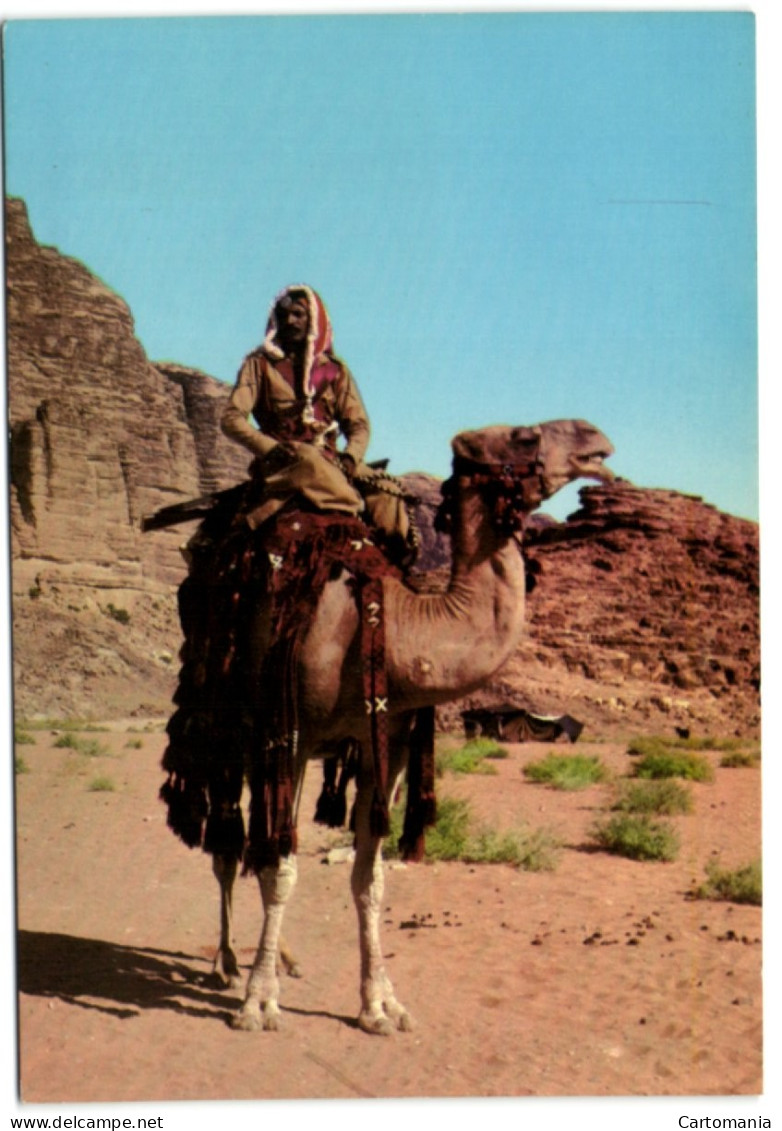 A Jordanian Desert Mounted Soldier - Jordanie
