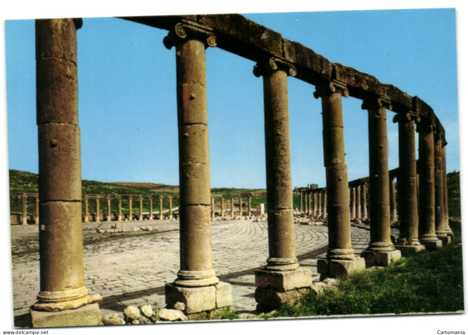 The Forum Of Jerash - Jerash - Jordanie