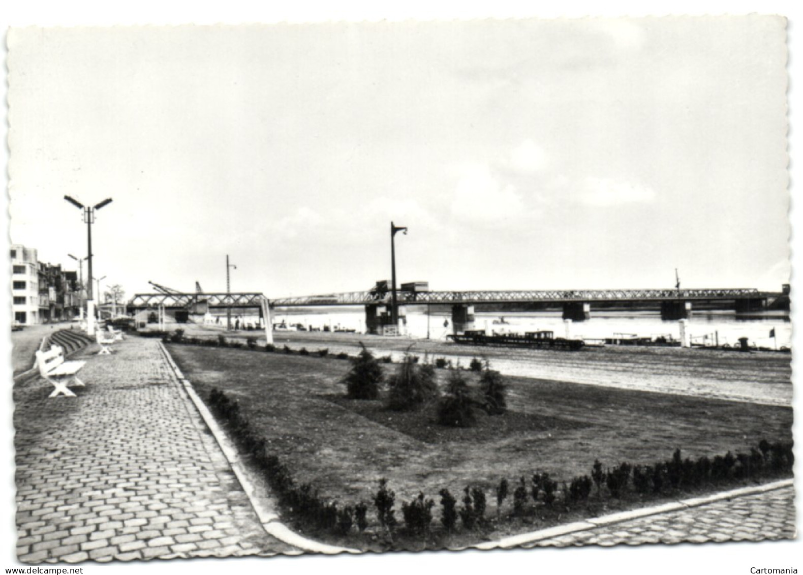 Temse  - Scheldebrug 375 M. Grootste Van België - Temse