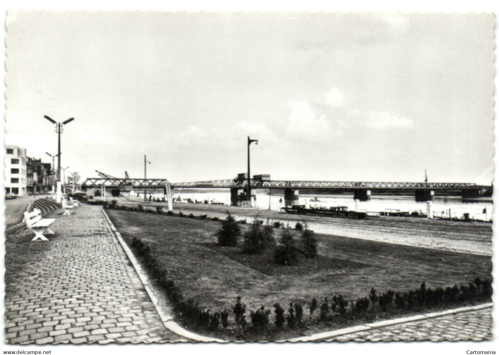 Temse  - Scheldebrug 375 M. Grootste Van België - Temse