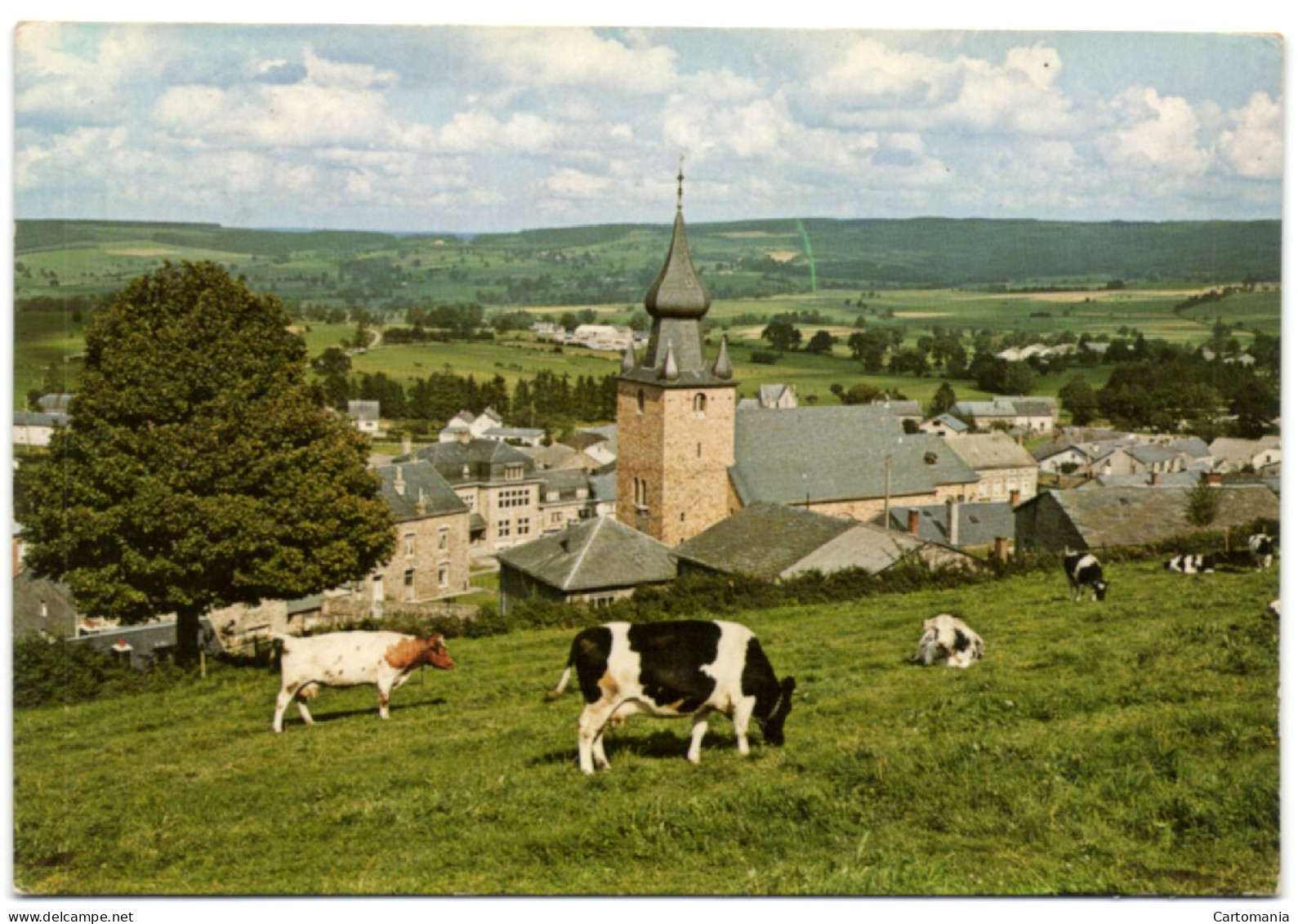 Lierneux - Panorama - Lierneux