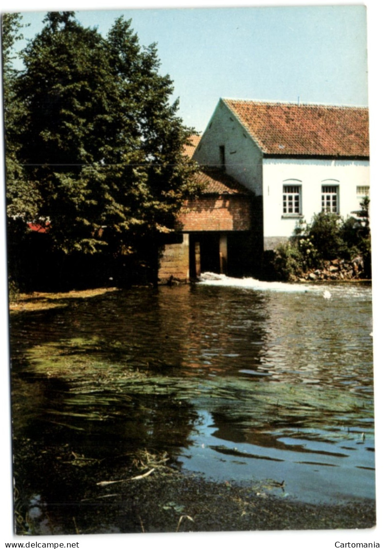 Kasterlee - Watermolen - Kasterlee