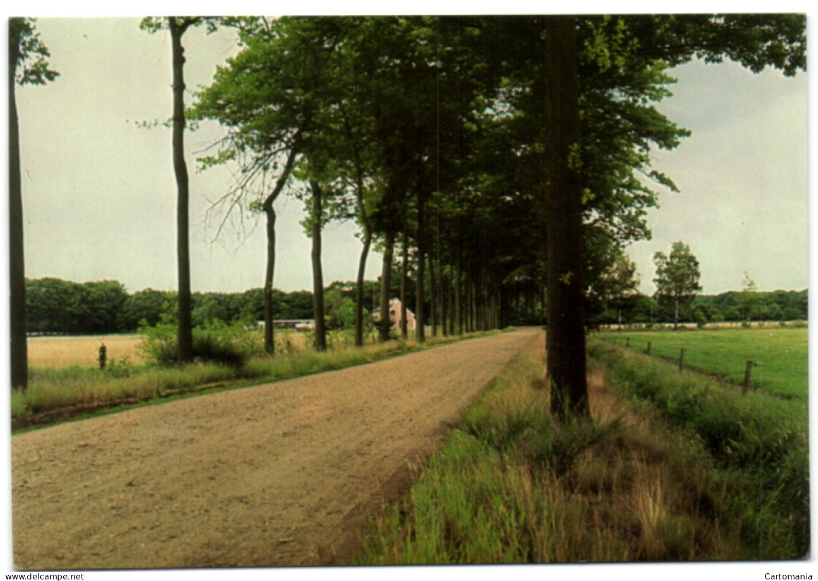 Drevenpad - Dreef Op Hovesteen Gestel - Berlaar