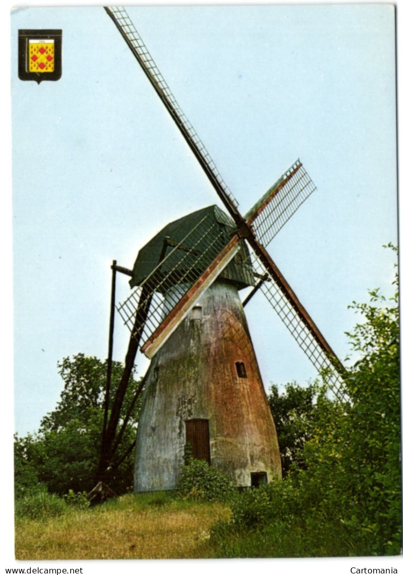 Mol (Ezaart) - De Laatste Molen 1856 - Mol