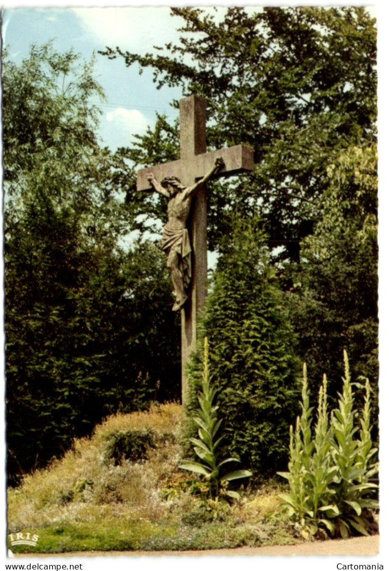 Leuze - Institut Médical De St-Jean-de-Dieu - Le Calvaire - Leuze-en-Hainaut