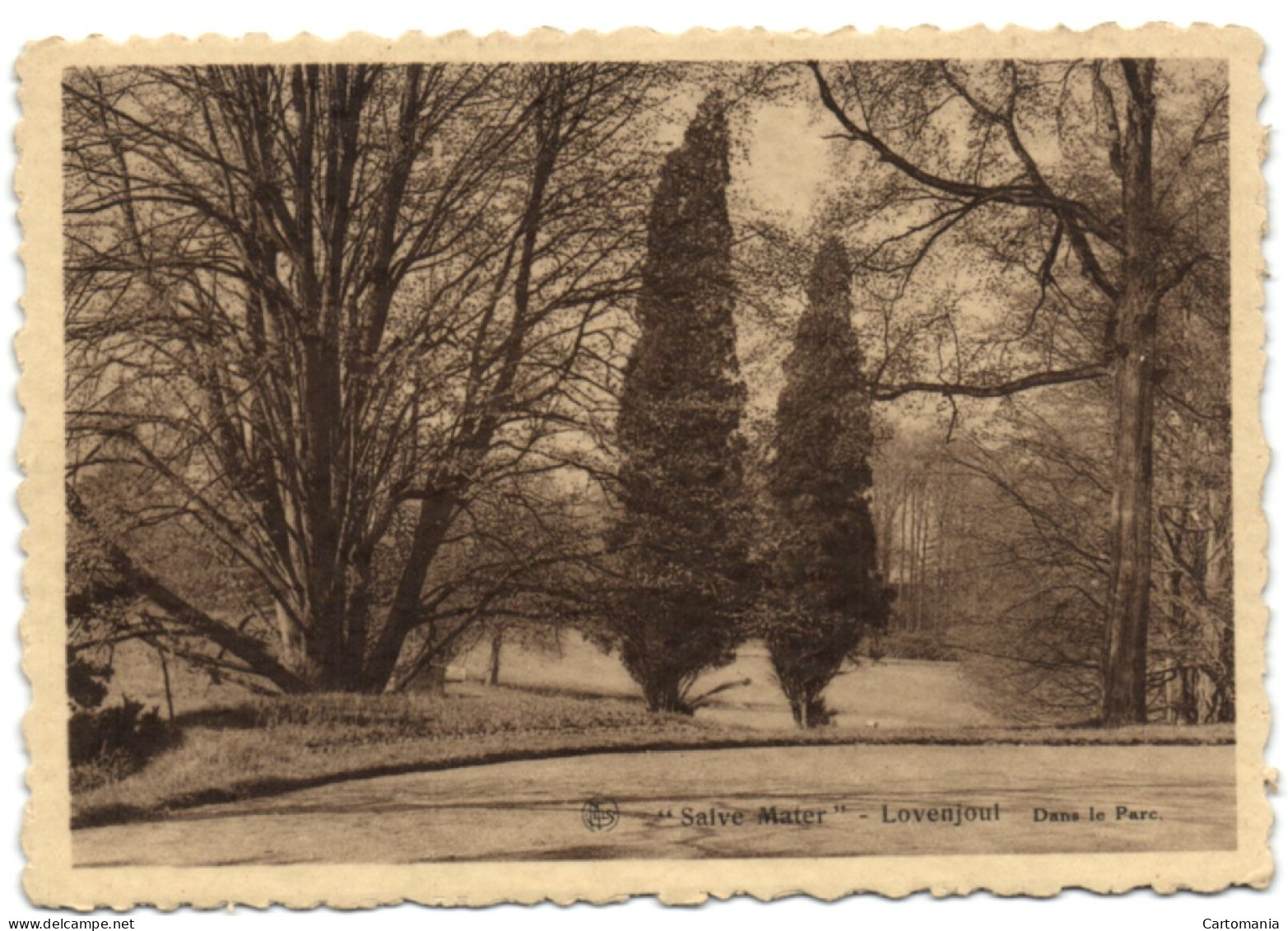 Salve Mater - Lovenjoul - Dans Le Parc - Bierbeek