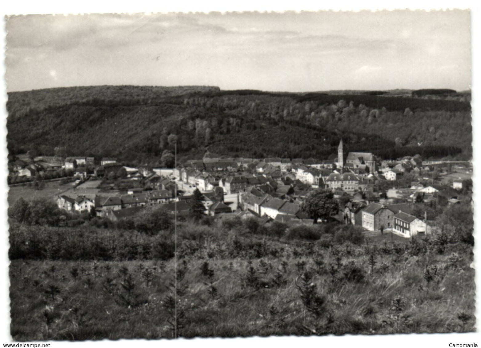 Herbeumont - Vue Des Termes - Herbeumont