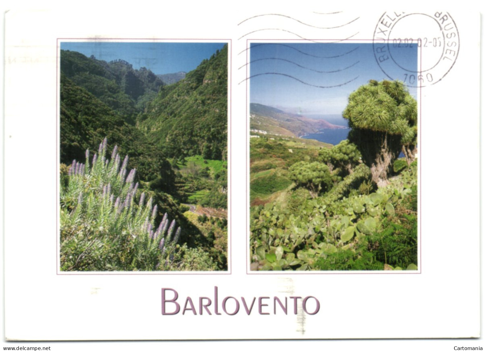 Barlovento - Isla De La Palma - La Palma