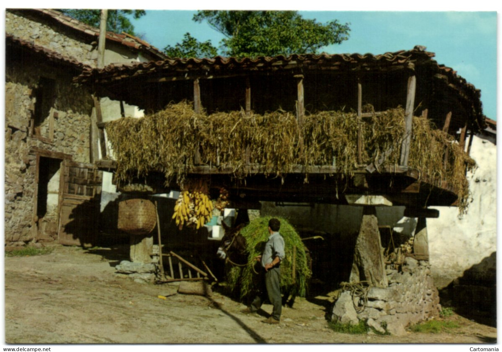 Horreo Asturiano - Asturias (Oviedo)