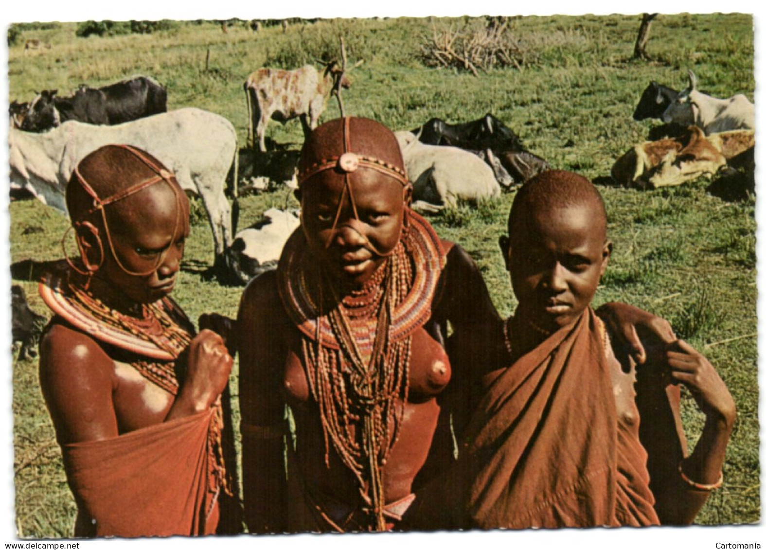 Masai Girls And Woman - Kenya