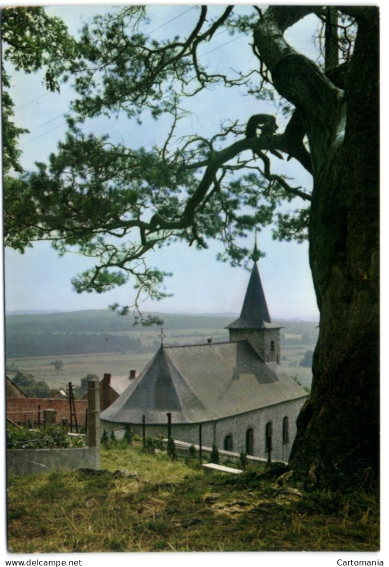 Roly - L'Eglise Et Le Vieux Pin - Environs De Mariebourg - Philippeville