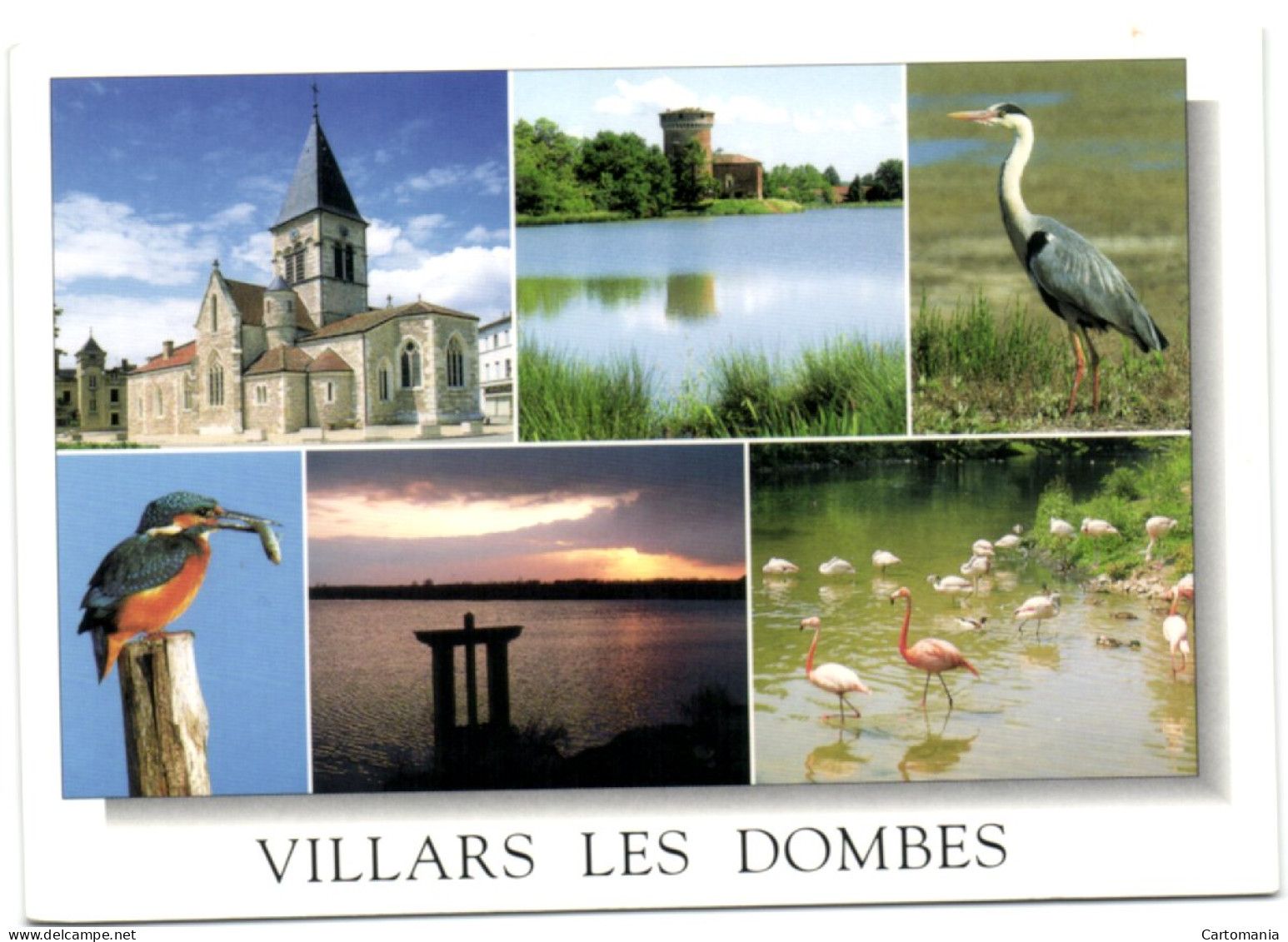 Villars Les Dombes - L'Elgise - La Tour -Paysage Et Animaux Des Dombes - Villars-les-Dombes