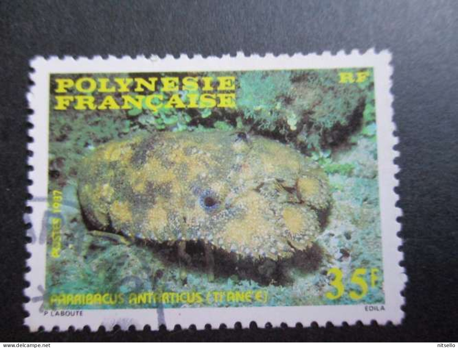 LOTE 2202A ///  (C015)  POLINESIA FRANCESA  - YVERT Nº:  276 OBL 1986     ¡¡¡ OFERTA - LIQUIDATION - JE LIQUIDE !!! - Used Stamps