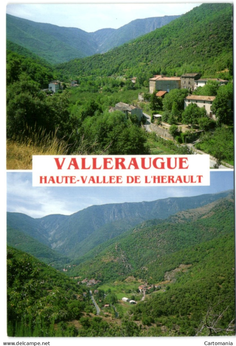 Valleraugue - Haute-Vallée De L'Hérault - Valleraugue