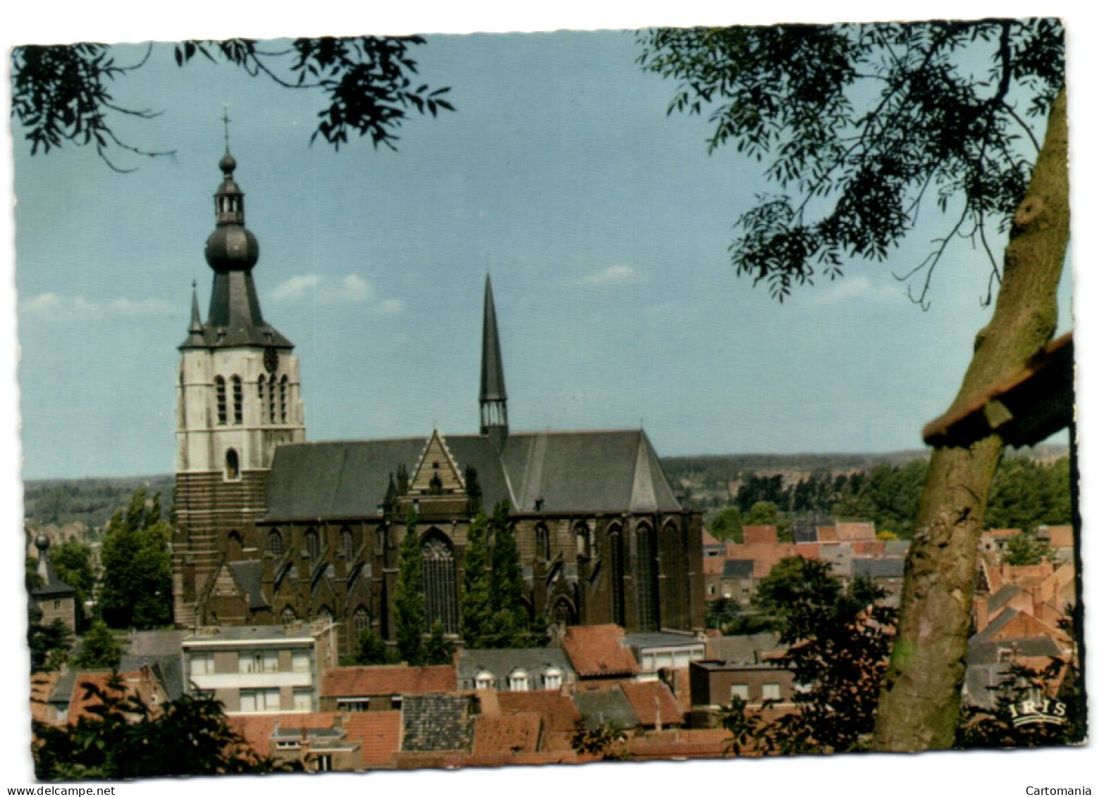 Aarschot - Panorama - Aarschot