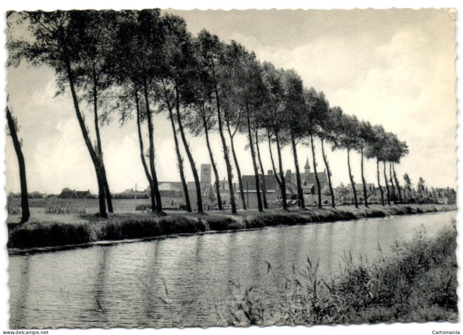 Damme - De Vaart Van Brugge Naar Sluis - Damme