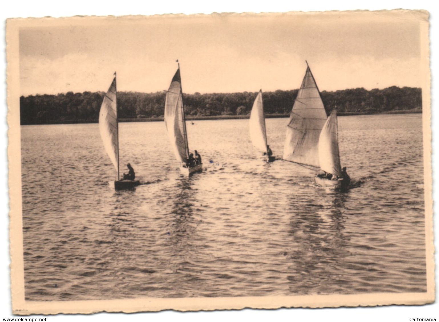 Lac De Virelles - Chimay - Course De Voiliers - Chimay