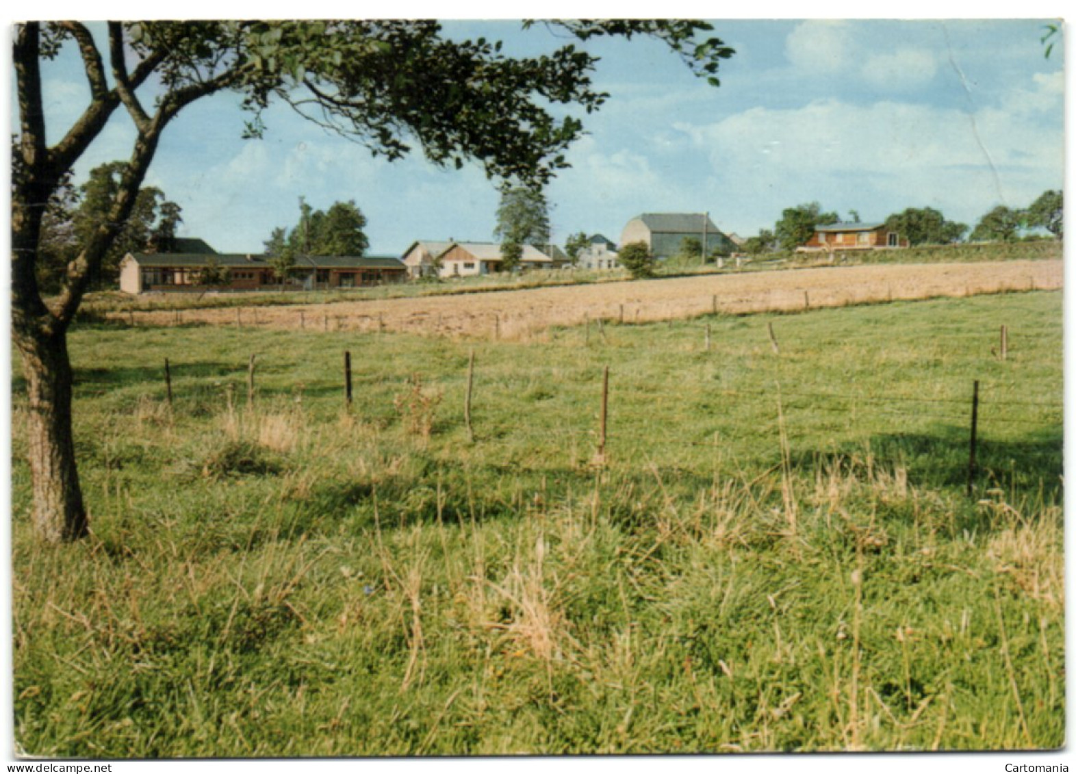 Matagne La Petite - Un Coin Du Village - Doische