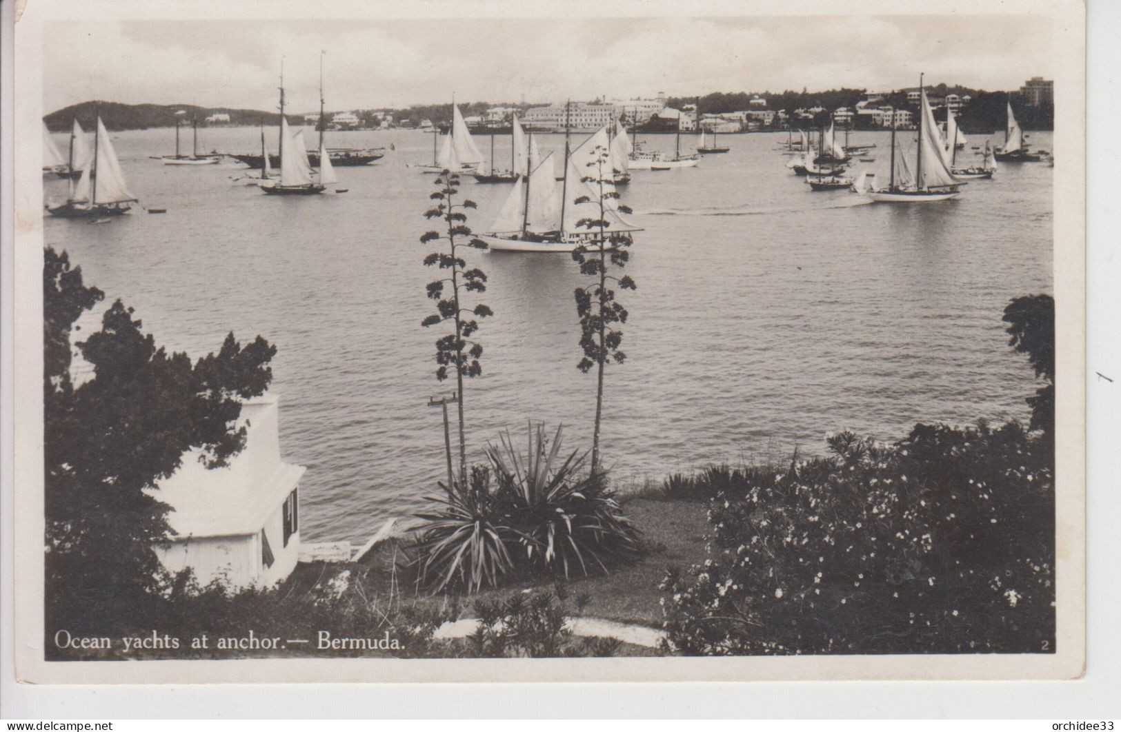 CPA Bermuda - Ocean Yachts At Anchor - Bermuda