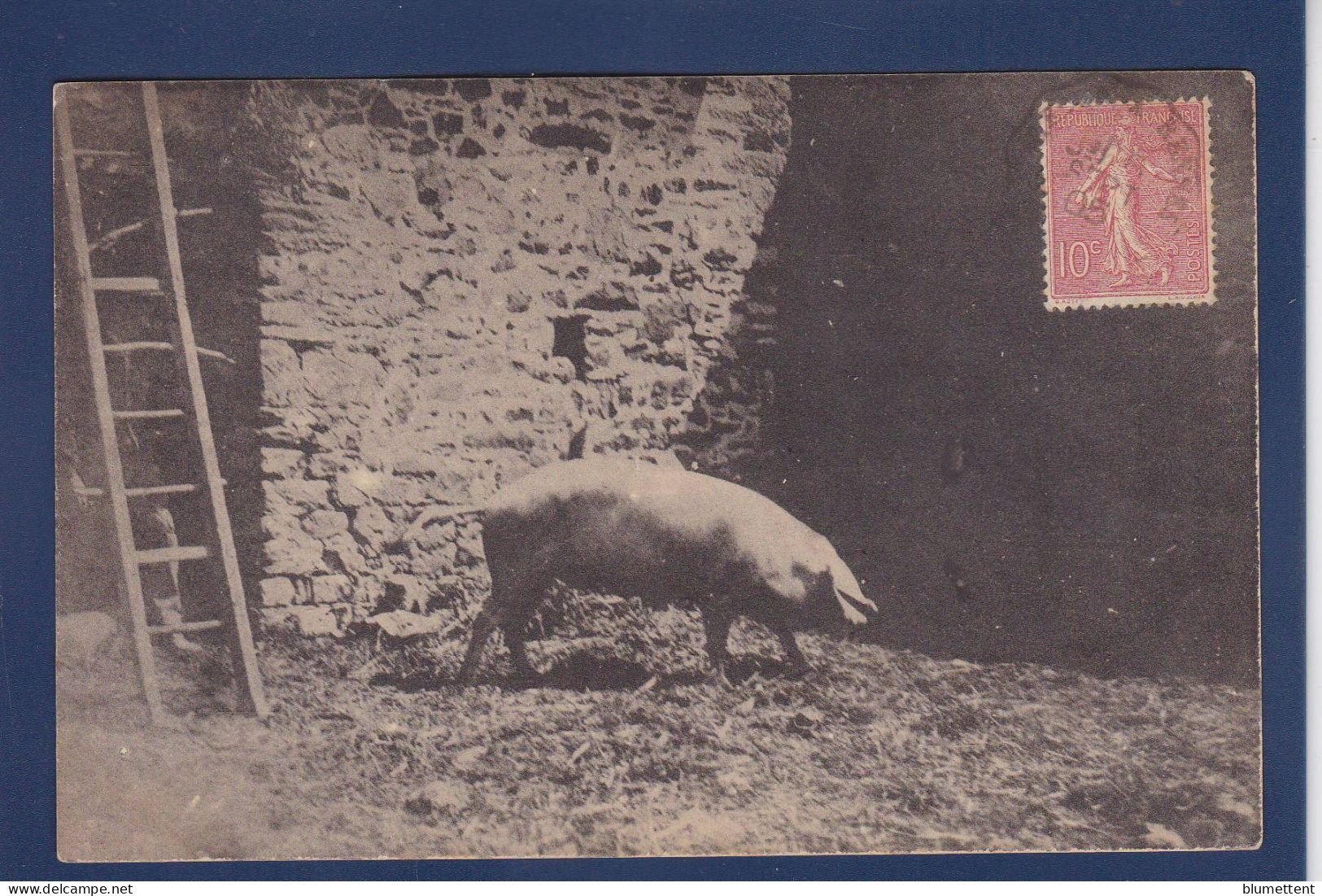 CPA 1 Euro Animaux Cochon Pig Prix De Départ 1 Euro Circulé - Schweine