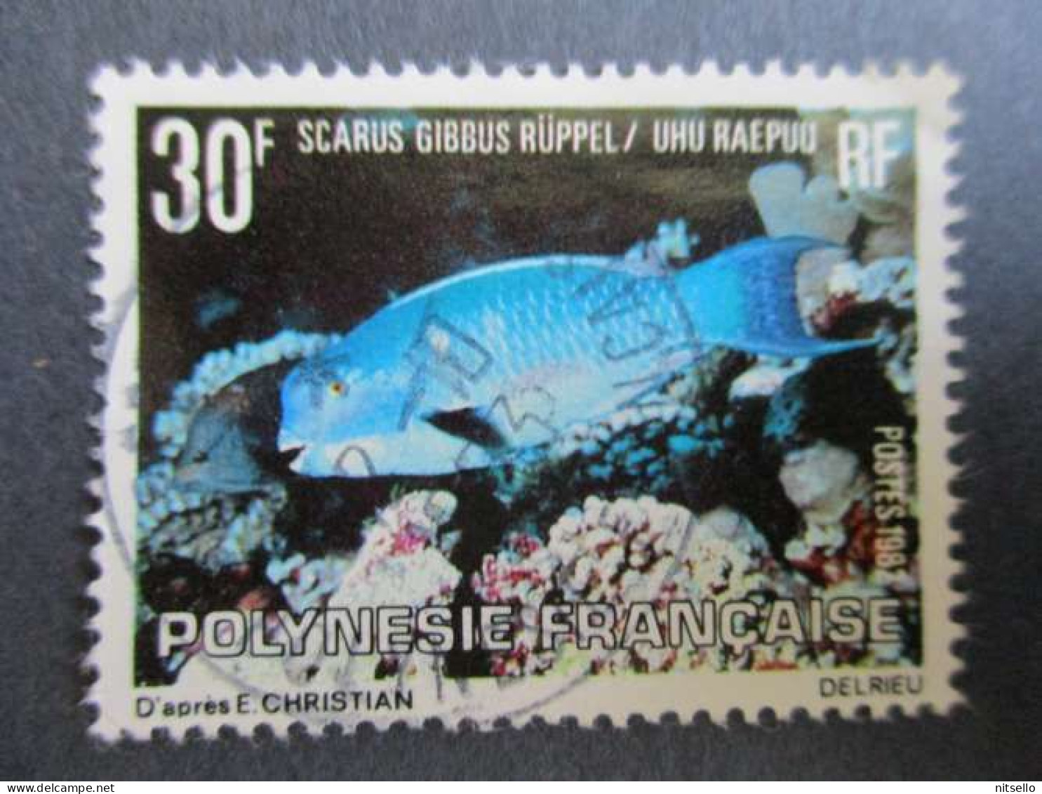 LOTE 2202B ///  (C020)  POLINESIA FRANCESA  - YVERT Nº:174 OBL 1981   ¡¡¡ OFERTA - LIQUIDATION - JE LIQUIDE !!! - Used Stamps