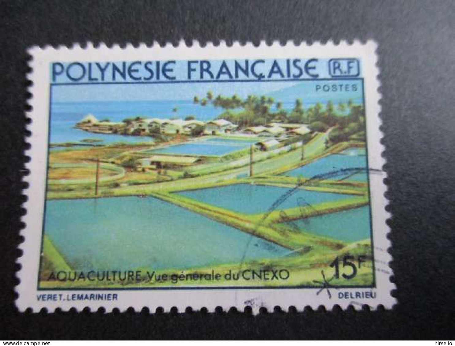 LOTE 2202B ///  (C025)  POLINESIA FRANCESA  - YVERT Nº: 150 OBL 1980   ¡¡¡ OFERTA - LIQUIDATION - JE LIQUIDE !!! - Gebraucht