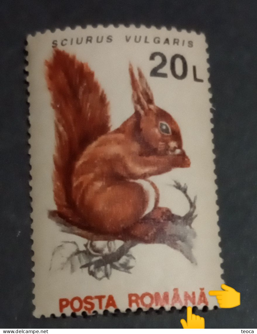 Animals Fauna  Errors Romania 1993 # Mi 4903 Printed With  Squirrel, Animal Fauna, Writing Shifted Down - Abarten Und Kuriositäten