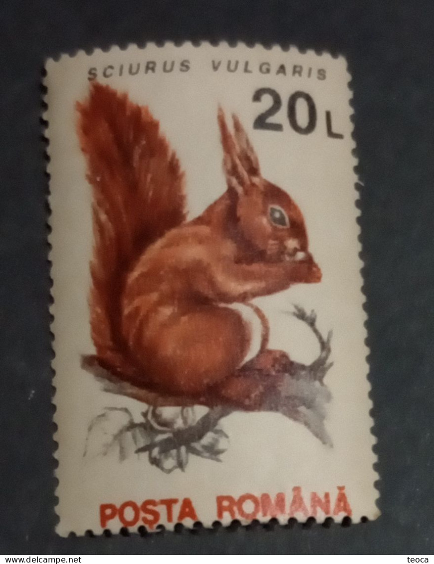 Animals Fauna  Errors Romania 1993 # Mi 4903 Printed With  Squirrel, Animal Fauna, Writing Shifted Down - Abarten Und Kuriositäten