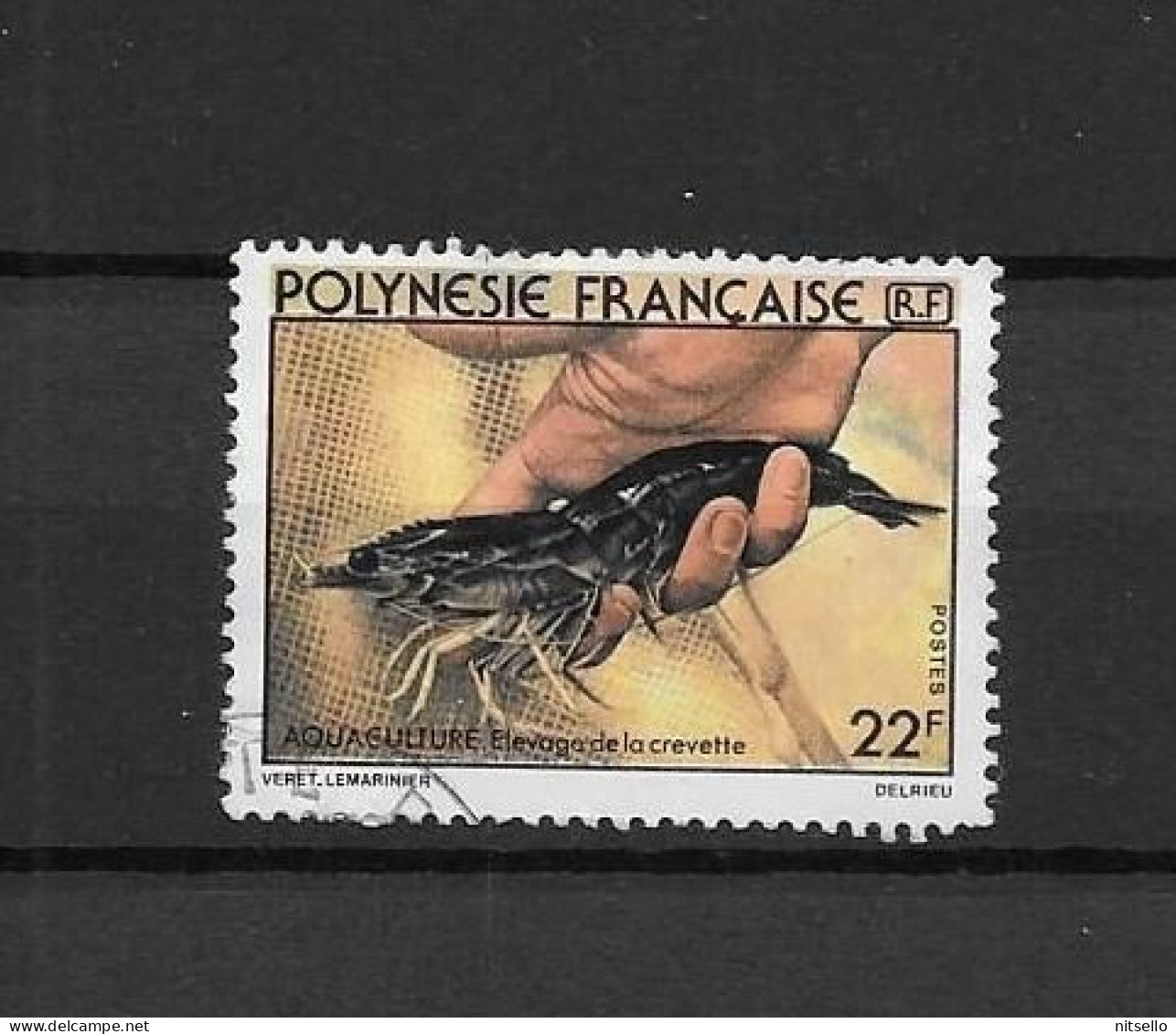 LOTE 2202B ///  (C025)  POLINESIA FRANCESA  - YVERT Nº: 151 OBL 1980   ¡¡¡ OFERTA - LIQUIDATION - JE LIQUIDE !!! - Oblitérés