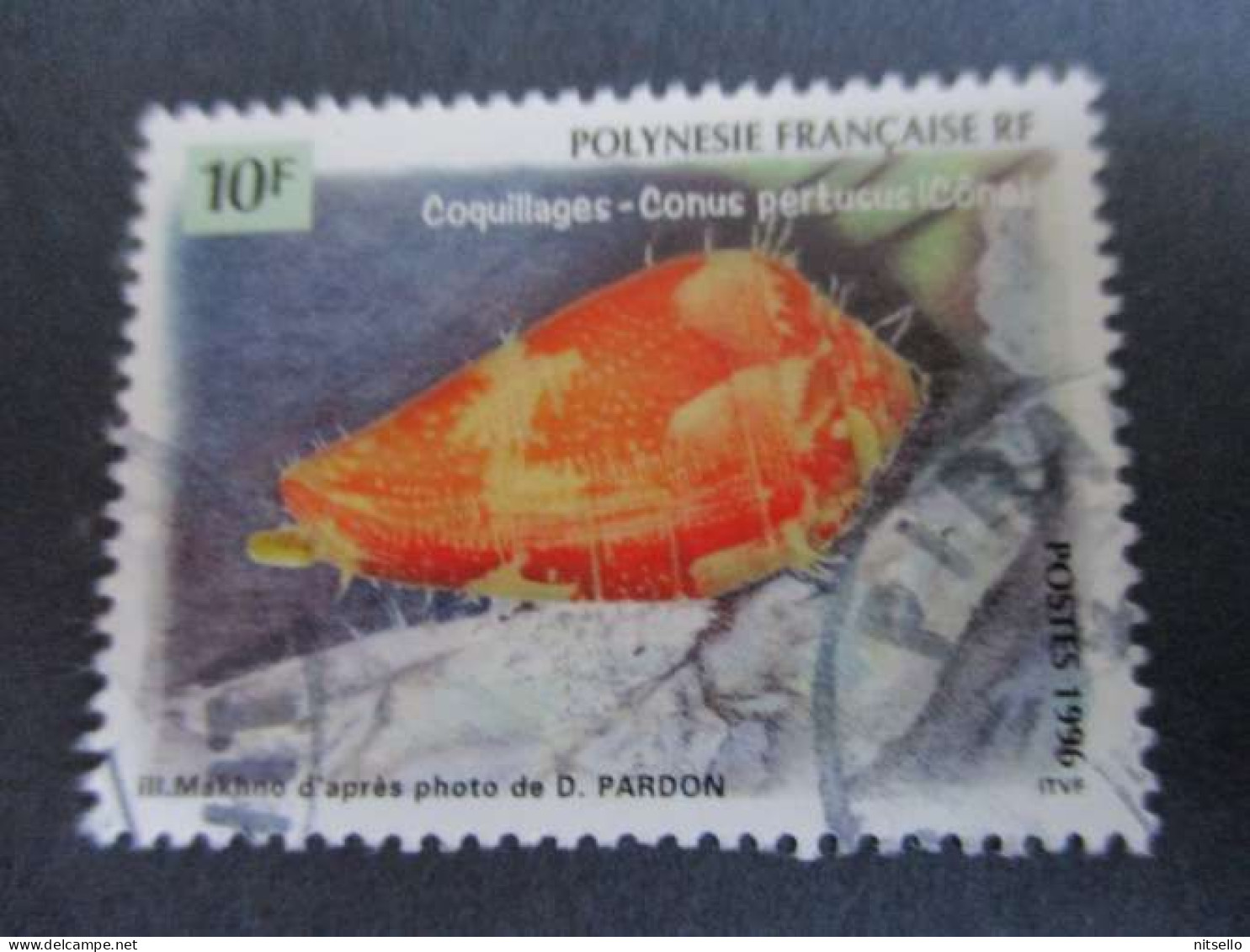 LOTE 2202B ///  (C020)  POLINESIA FRANCESA  - YVERT Nº: 503 OBL 1996 ¡¡¡ OFERTA - LIQUIDATION - JE LIQUIDE !!! - Used Stamps